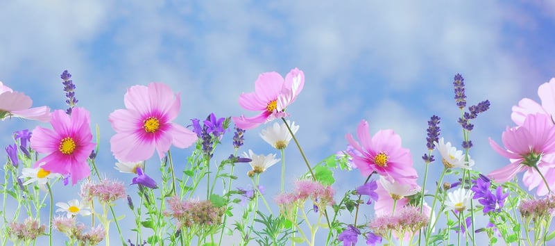 Magical Garden Decorations